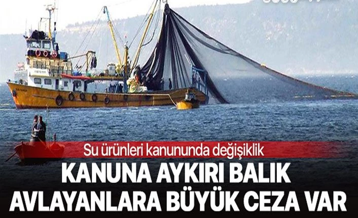 Su ürünleri avlanma yasağına uymayanlara ceza kesilecek