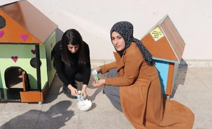 Üniversite öğrencilerinden örnek davranış