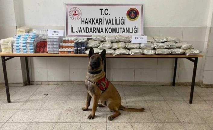Yüksekova’da yüklü miktarda uyuşturucu madde ve tıbbi ilaç ele geçirildi
