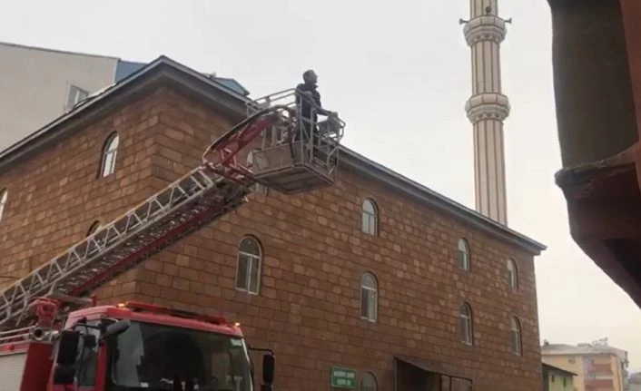 Ağrı’da tele takılan güvercin itfaiye ekipleri tarafından kurtarıldı