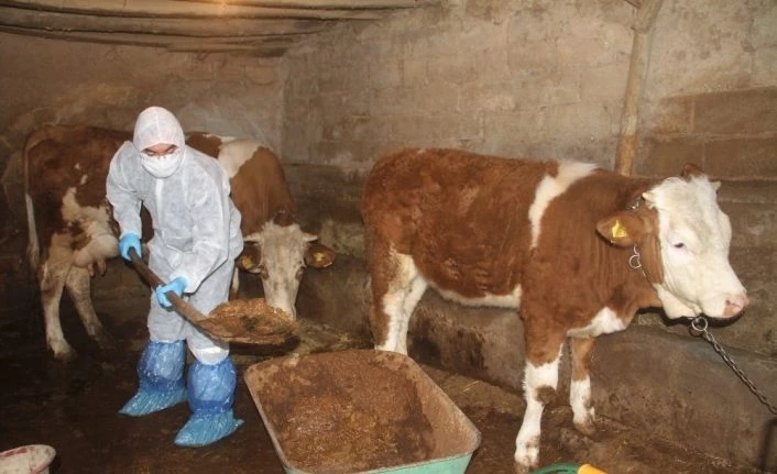 Aile karantinaya alındı, hayvanlarına Vefa ekibi bakmaya başladı
