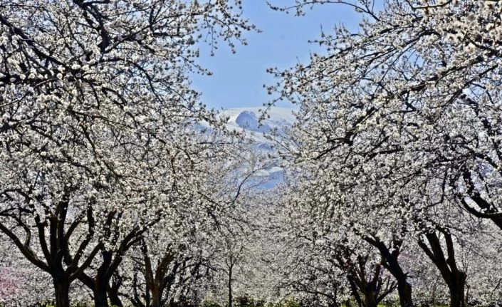 Doğu Anadolu’da sıcaklıklar mevsim normalleri civarında seyredecek