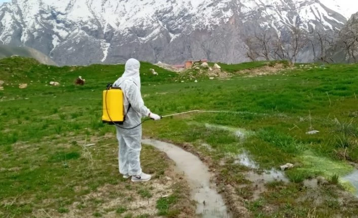 Hakkari’de larva ile mücadele çalışması