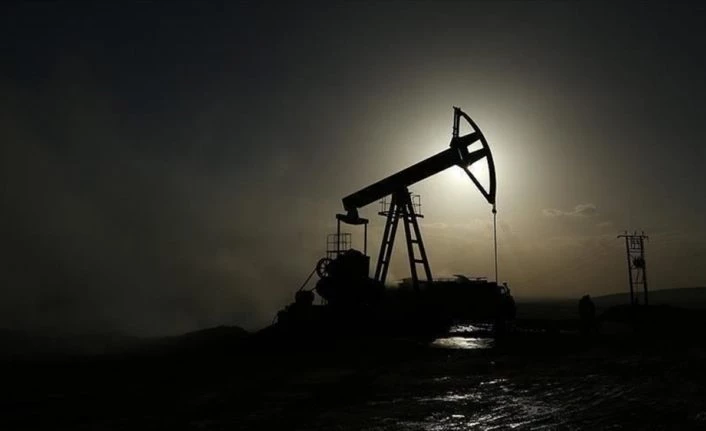 IEA Başkanı Birol: 2020