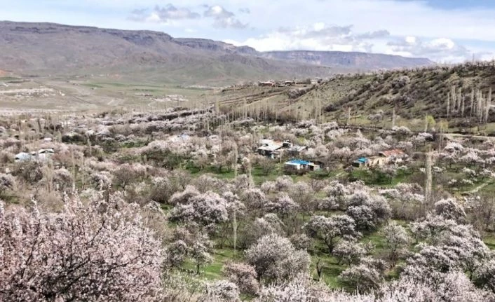 Kağızman beyaza büründü