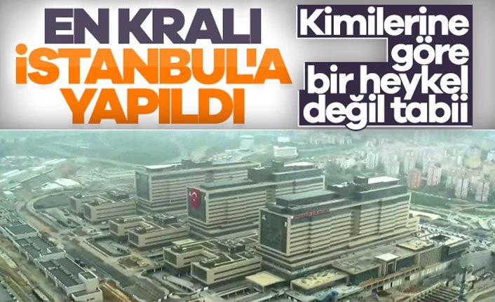 Kimilerine göre bir heykel kadar önemli değil ama Başakşehir Şehir Hastanesi açıldı