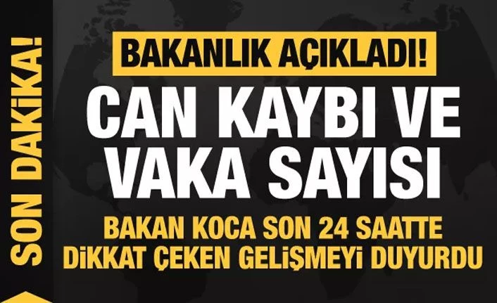 Sağlık Bakanlığı: Türkiye'de koronavirüs nedeniyle can kaybı 2.600'e yükseldi 24 Nisan 2020