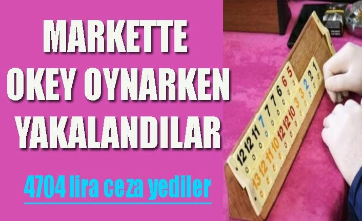 Van'da markette okey oynarken yakalandılar, 4 bin 704 lira ceza yediler