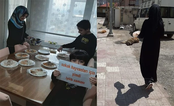 Van Tuşba'da müftülük görevlilerinden sokak hayvanları için iyilik vakti
