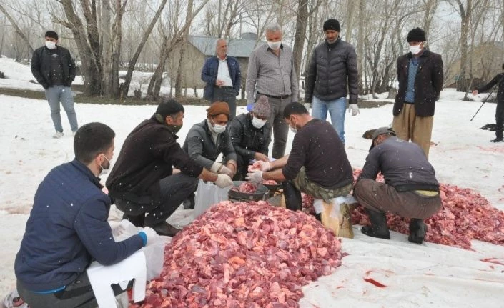Yüksekova’da koronaya karşı 70 kurban kesilip dua edildi