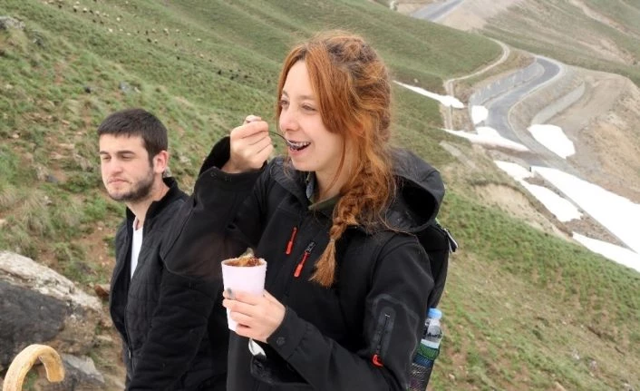 3 bin rakımlı Nemrut Dağı eteklerinde karlı pekmez keyfi