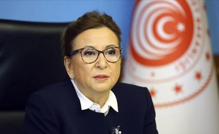 Bazı Ro-Ro seferlerinde tır şoförlerine gemiye biniş izni