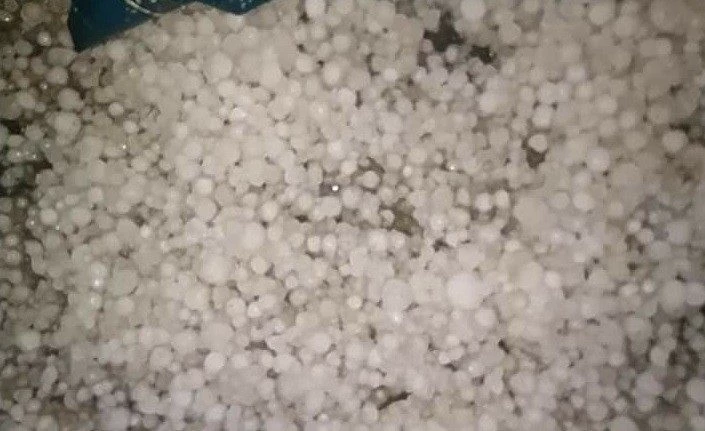 Bingöl’de dolu, bahçelere zarar verdi