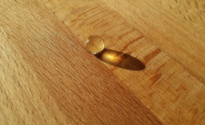 D vitamini eksikliği ve Kovid-19 kaynaklı ölümler arasında bağlantı tespit edildi