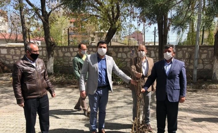 Diyadin Kaymakamı Doğan, 2 bin meyve ağacını vatandaşlara dağıttı