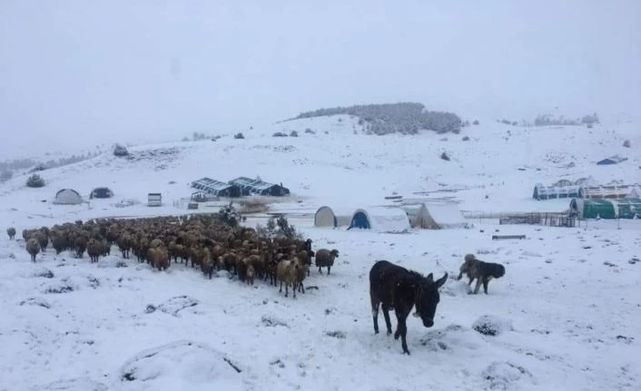 Göçerler baharda kışa yakalandı