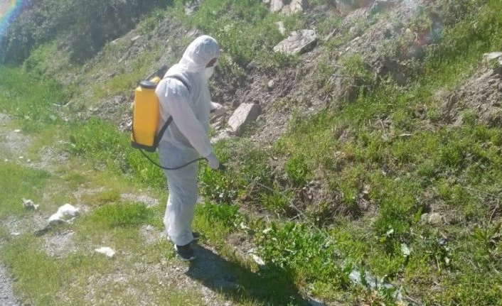 Hakkari’de dere yatakları larvalara karşı ilaçlanıyor