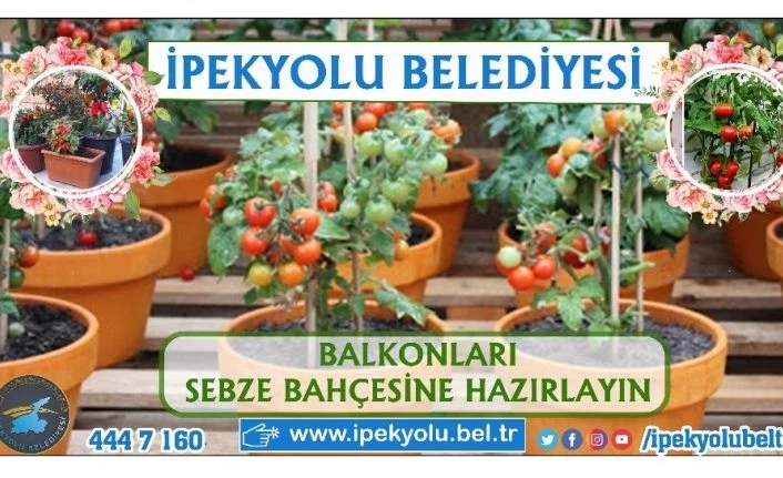 İpekyolu’nda balkonda tarım dönemi