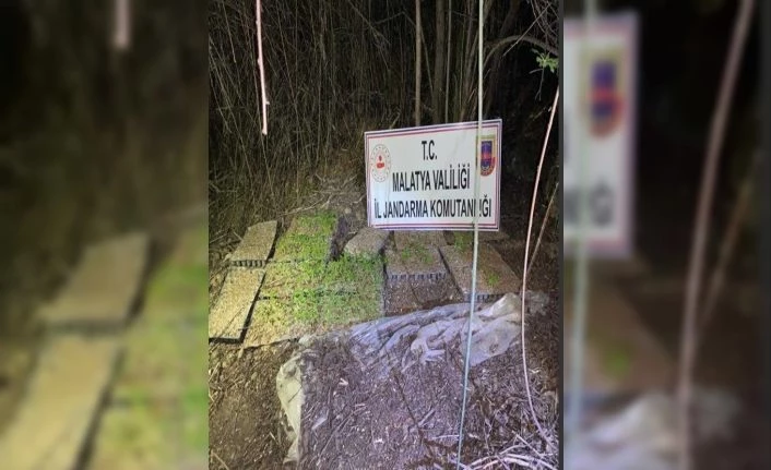 Kamu arazisine hint keneviri ektiler