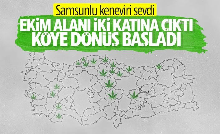 Kenevir alanı ikiye katlanınca tesis ihtiyacı doğdu