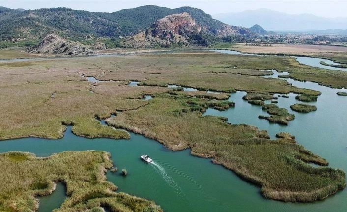 Labirent görünümlü Dalyan sazlıkları yine turistlerin gözdesi olacak