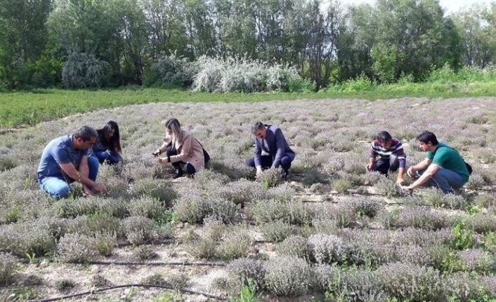 Malatya yüksek sıcaklık etkisinde
