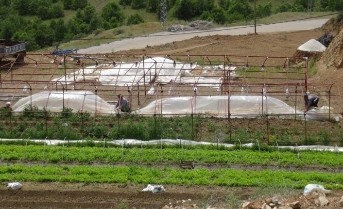 Malatya’da hortum bahçe ve seralara zarar verdi