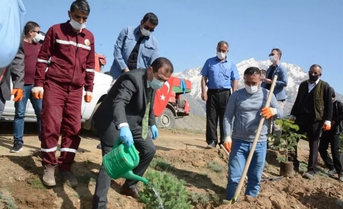 Sağlık çalışanları Vatan Tepesi’ne fidan dikti
