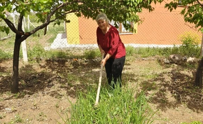 Sokağa çıkmayan yaşlı kadın doğal sebze yetiştirerek gününü geçiriyor