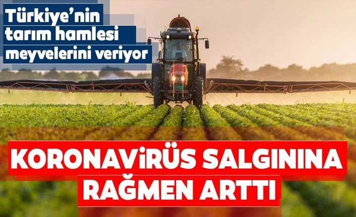 Tarımda ihracat Kovid-19'a rağmen arttı