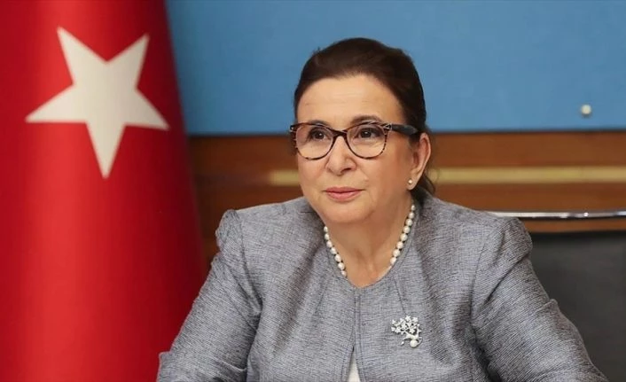 Ticaret Bakanı Pekcan: Çin