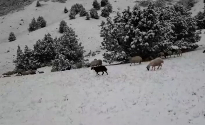 Tunceli’de kar sürprizi