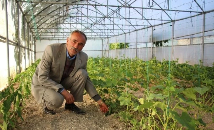 Uzundere’de organik sebze ve meyve üretimi