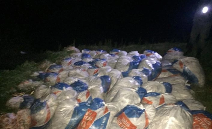 Van Gölü’nde kaçak avlanmış 16 ton ölü balık ele geçirildi