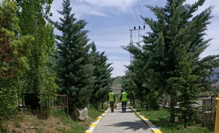 Van’daki mezarlıklarda peyzaj çalışması