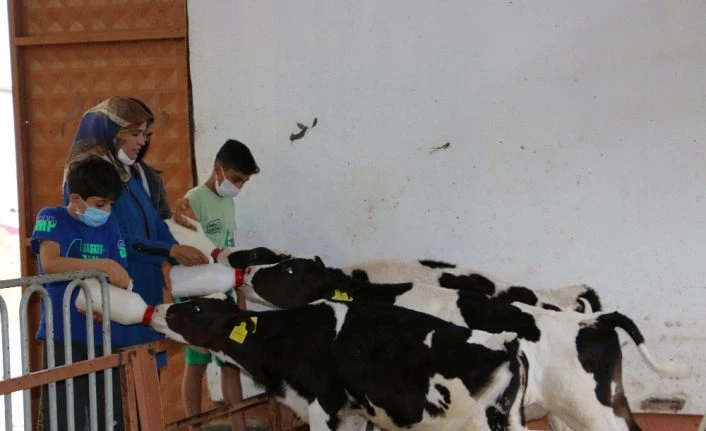 3 çocuk annesinin bahçesi bile yoktu, şimdi devlet desteği ile çiftliği var