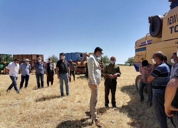 Akçadağ’da hububat hasadı başladı