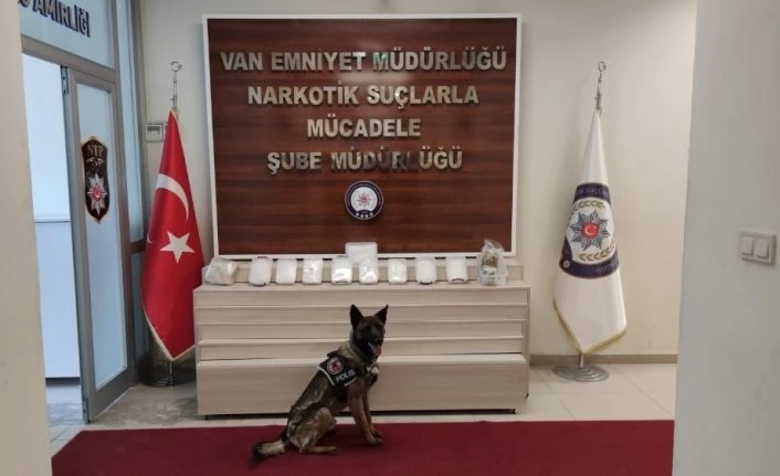 Van'da aracın tabanına gizlenen uyuşturucu Bozo’ya takıldı