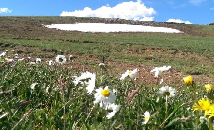 Ardahan’da yaz ve kış bir arada