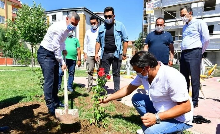 Başkan Çınar, Gül Parkında fideleri toprakla buluşturdu