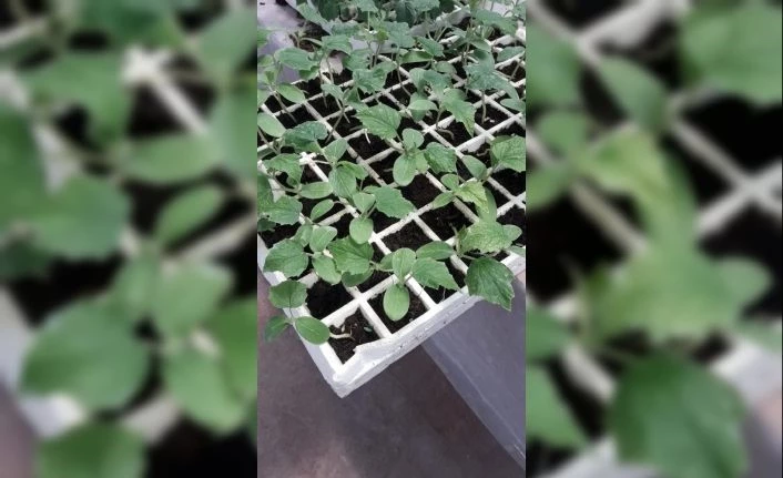 Çaldıran Belediyesi imkansızı başarıyor