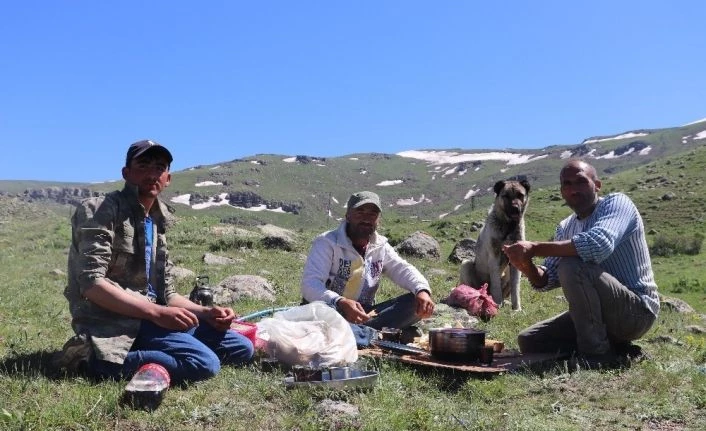 Çiftçiler bin bir zorlukla üretmeye devam ediyorlar