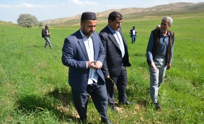 Çiftçilerin hibe destekli tohumdan beklentisi yüksek