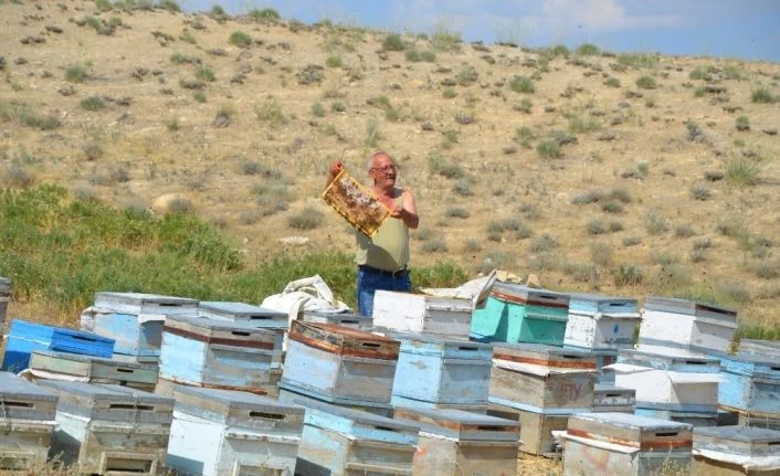 Darendeli Arıcılar, bu yıl verim yüksekliğinden umutlu