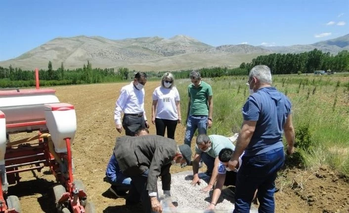 Doğanşehir’de Kuru Fasulye yaygınlaştırılıyor