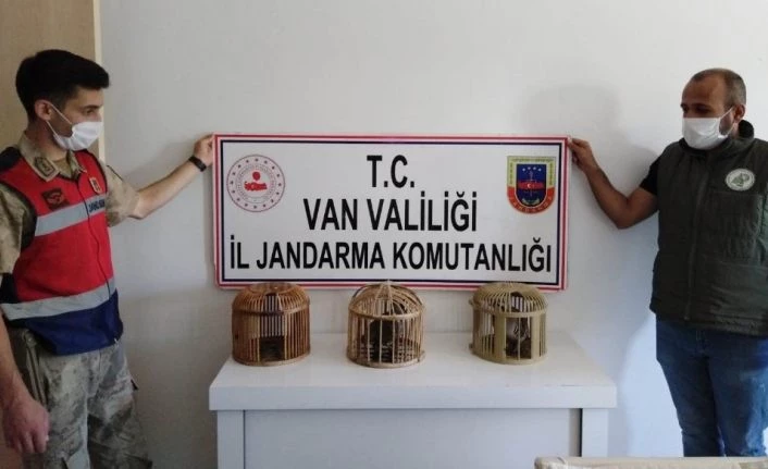 Erciş’te kafes avcısına ceza