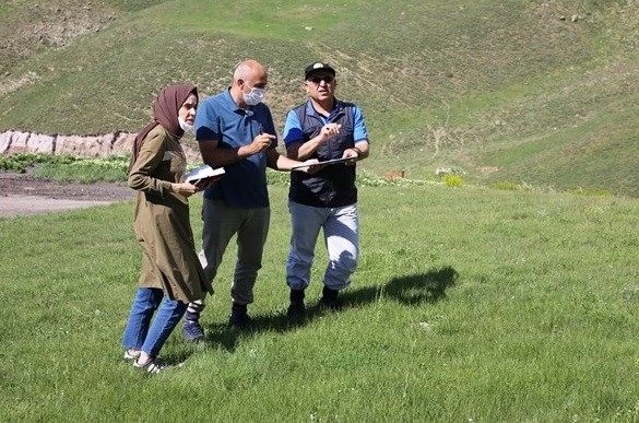 Erzurum Palandöken Kayak Merkezi ağaçlandırılıyor