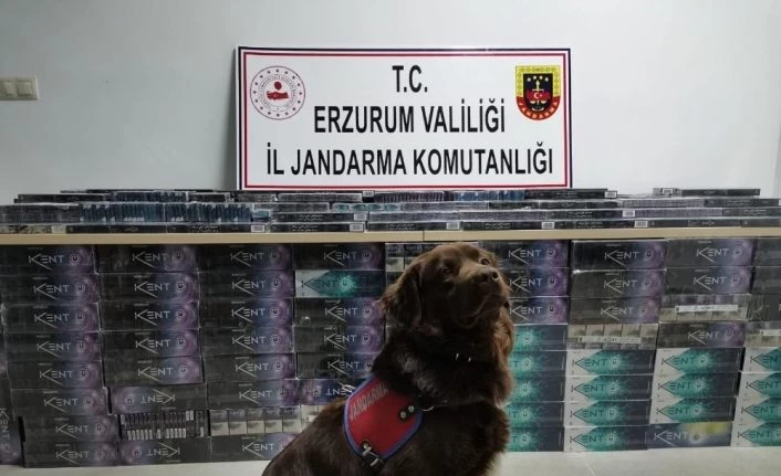 Erzurum’da 5 bin 200 paket kaçak sigara ele geçirildi