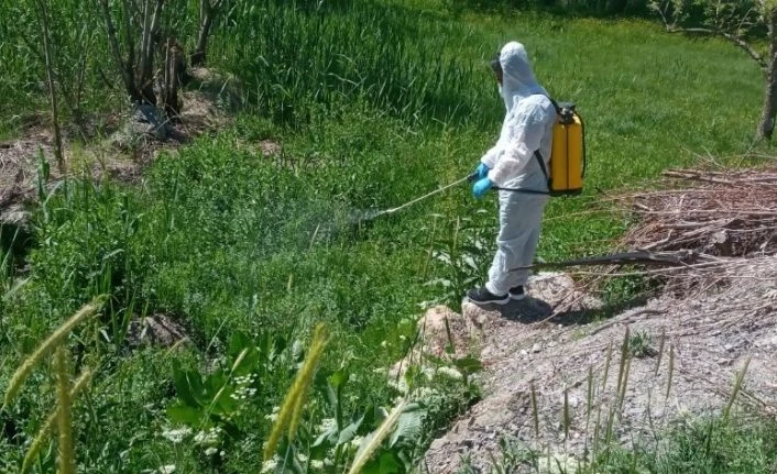 Hakkari’de larva ilaçlama çalışmaları sürüyor