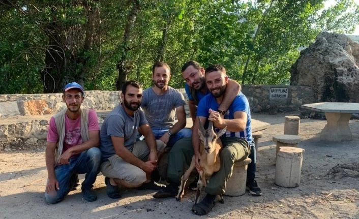 Hasta dağ keçisini 5 kilometre sırtlarında taşıdılar